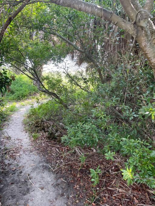 Tybee Sunshine ~ 50 Steps 'Till Toes In The Sand Tybee Island Exterior photo